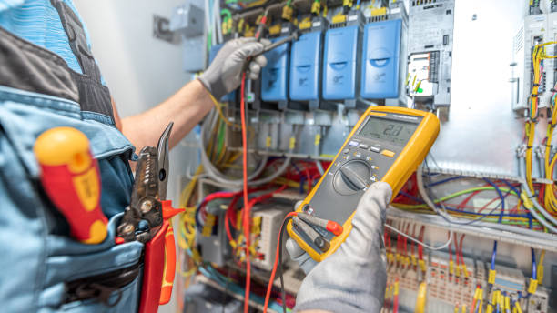 Best Electric Panel Repair  in Lago Vista, TX
